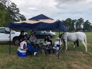 42849598_10215727528293970_9084849583393079296_n