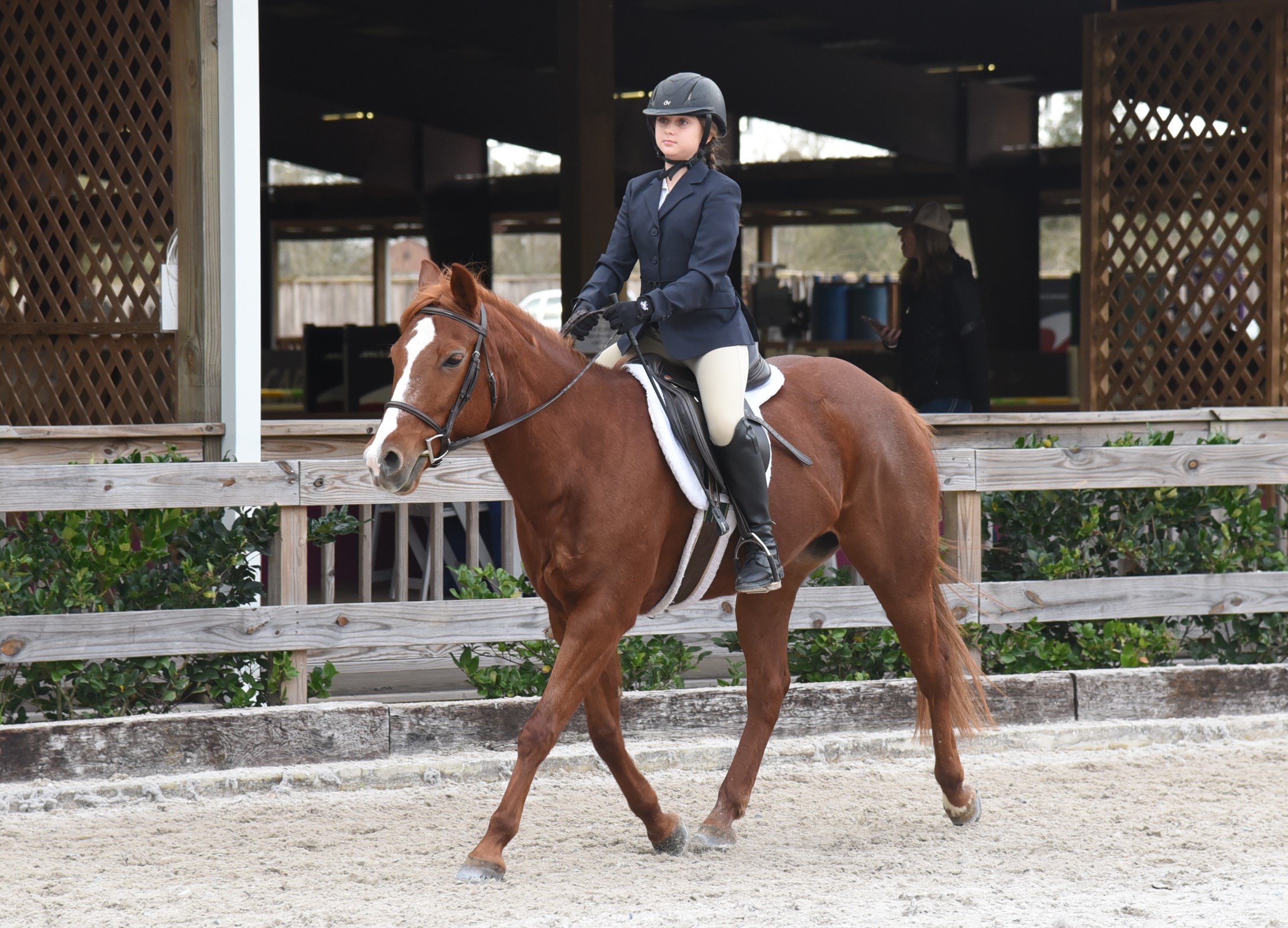 Winter Wonderland H/J Show